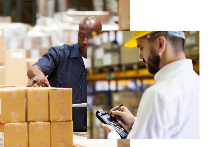 Order Processing & Picking